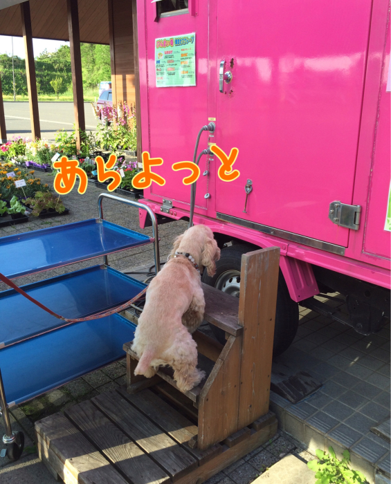 5年前の、昨日と今日 その2_b0067012_23131751.jpg