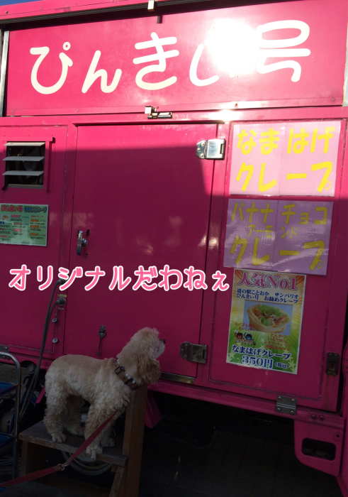 5年前の、昨日と今日 その2_b0067012_23132263.jpg