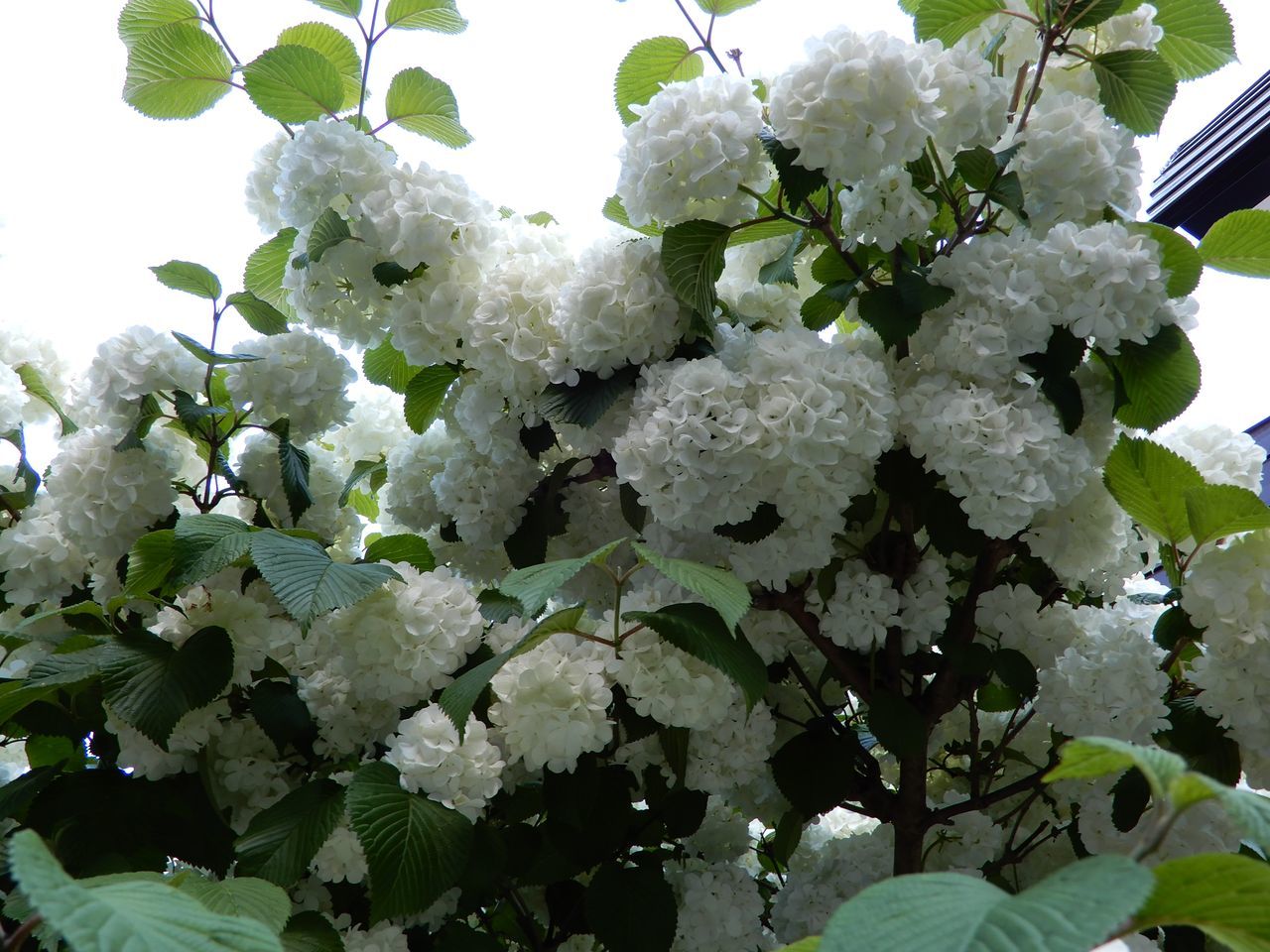 今日は25℃_c0025115_22224551.jpg