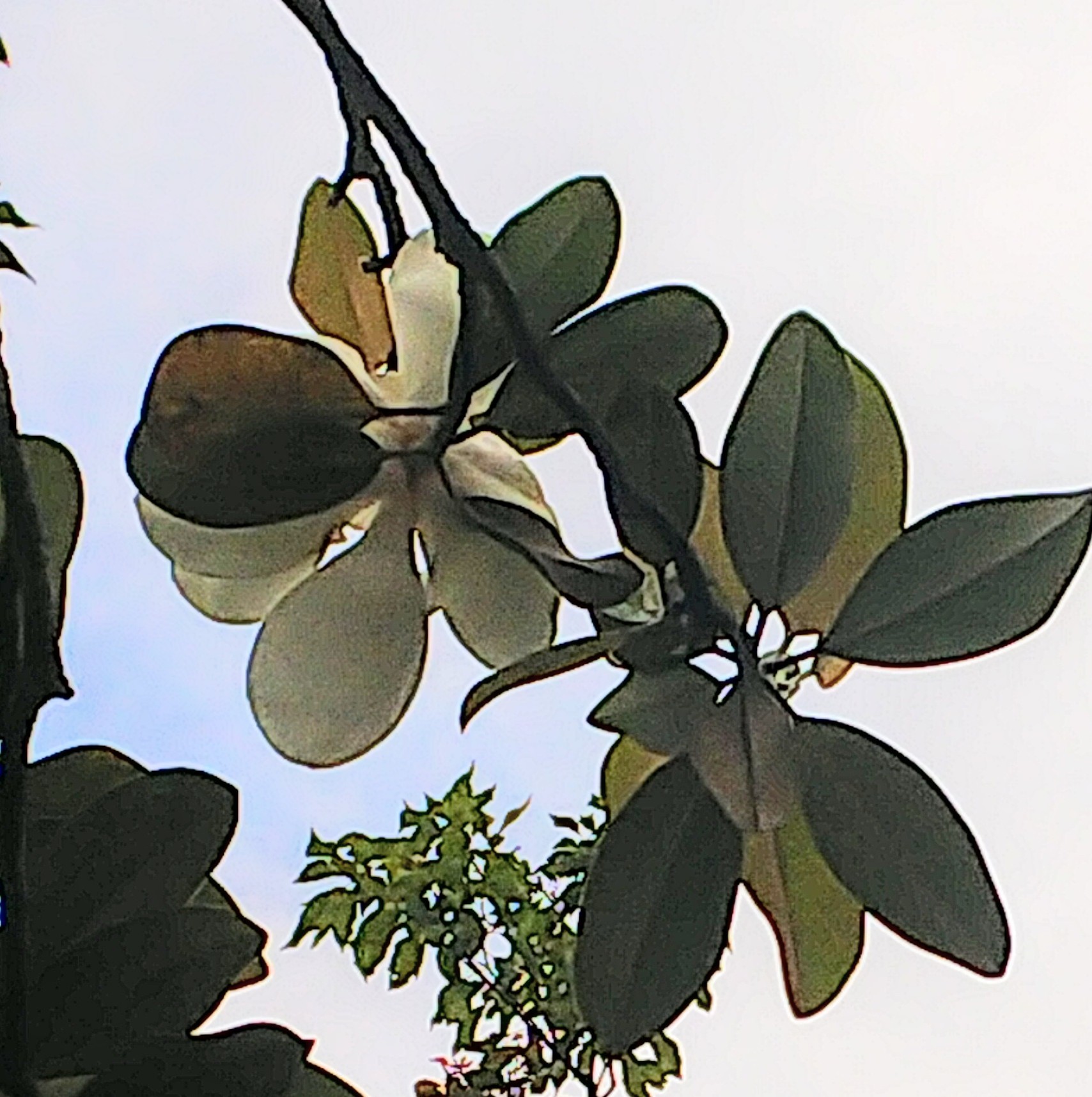 散歩_a0098418_22372307.jpg