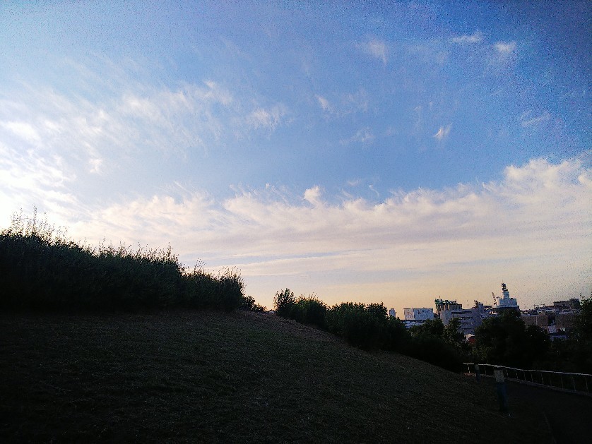 散歩_a0098418_22432195.jpg