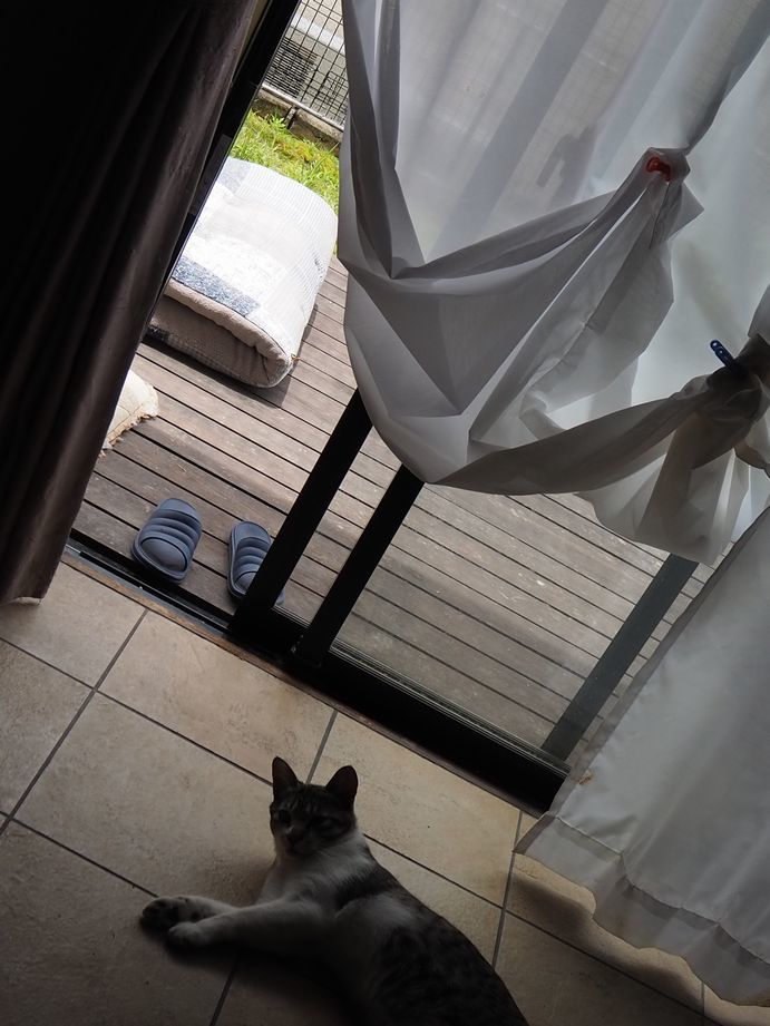 最近のご様子_e0142430_13255997.jpg