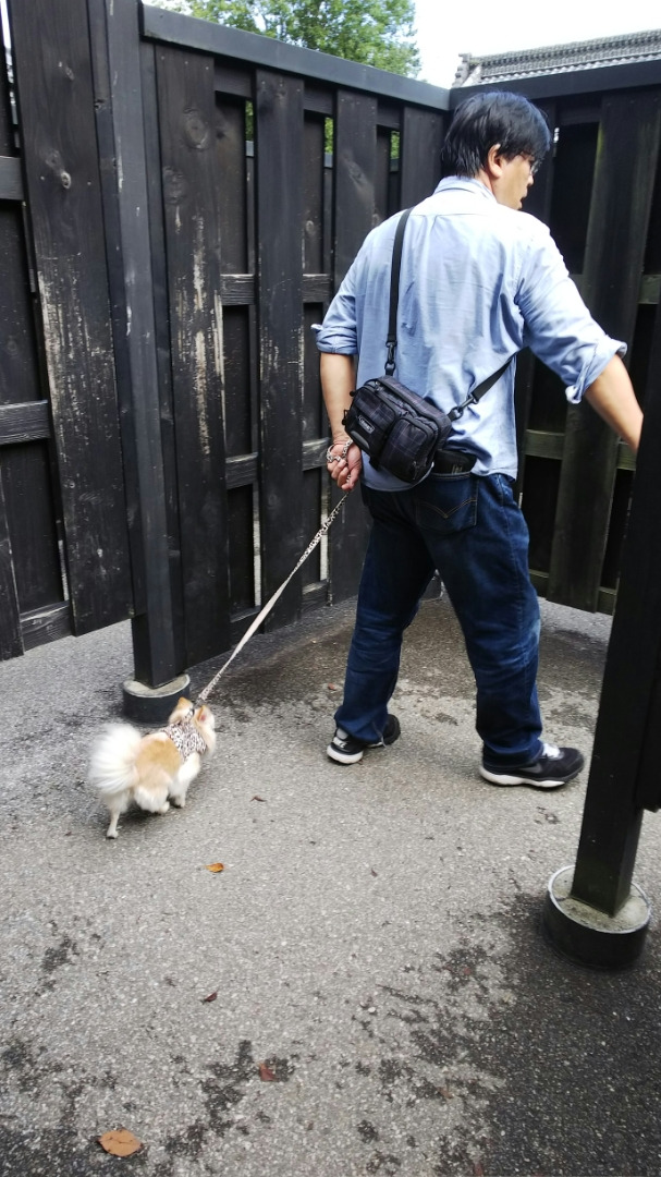 栃木県「日光江戸村」わんにゃん祭り、その２_c0404632_21181350.jpg