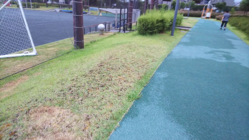 長泉町 ウエルピア長泉 色々とある運動公園 白い羽 彡静岡県東部情報発信 Pipipi 長泉町 ウエルピア長泉 色々とある運動公園 白い羽 彡静岡県東部情報発信 Pipipi