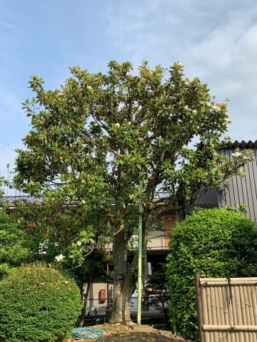 土曜日、日曜日の営業時間について_a0217348_16322174.jpeg
