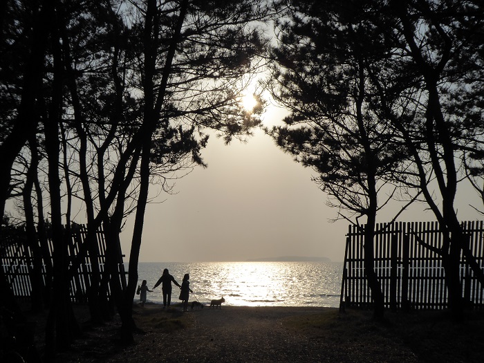 海からの贈り物 ひもろぎ逍遥 海からの贈り物 ひもろぎ逍遥
