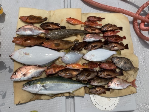 6月2日 近海便_d0335966_17591866.jpeg