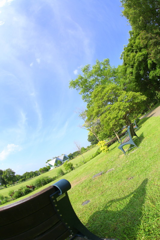 国営木曽三川公園 フラワーパーク江南_f0367980_19392630.jpg
