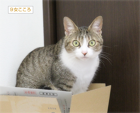 こころの不思議現象_a0389088_12414225.jpg