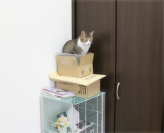 こころの不思議現象_a0389088_12414232.jpg