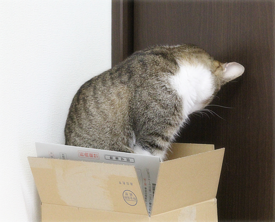 こころの不思議現象_a0389088_12414239.jpg