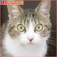 こころの不思議現象_a0389088_12414298.jpg