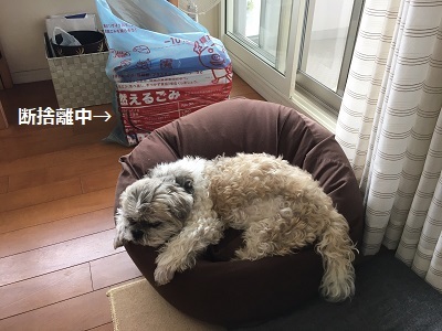 ひさびさの姫の襲撃と王子。_f0372998_20192823.jpg