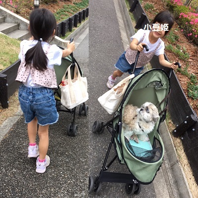 ひさびさの姫の襲撃と王子。_f0372998_20195186.jpg
