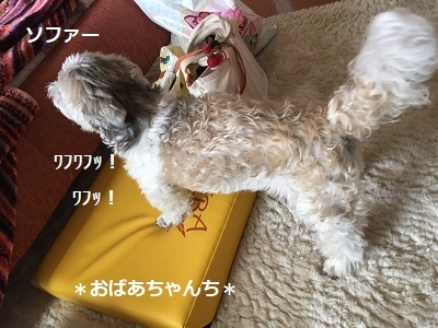 ひさびさの姫の襲撃と王子。_f0372998_20200388.jpg
