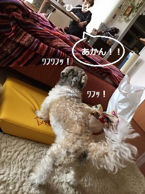 ひさびさの姫の襲撃と王子。_f0372998_20202165.jpg