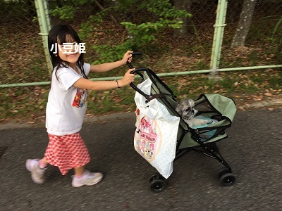 ひさびさの姫の襲撃と王子。_f0372998_20211025.jpg