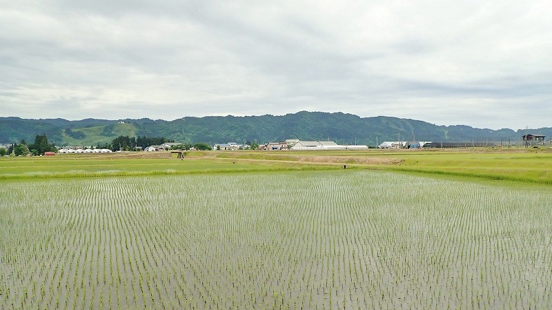 月曜は「配送日」でした_c0336902_18073237.jpg