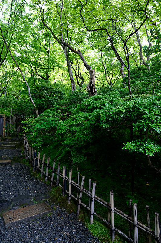 真緑巡り 祇王寺 デジタルな鍛冶屋の写真歩記