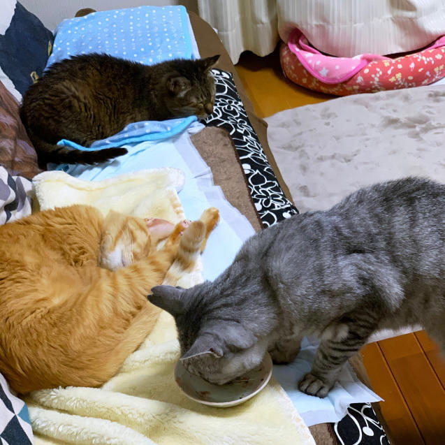 ぐっすり眠れる幸せ。_d0355333_23414605.jpg