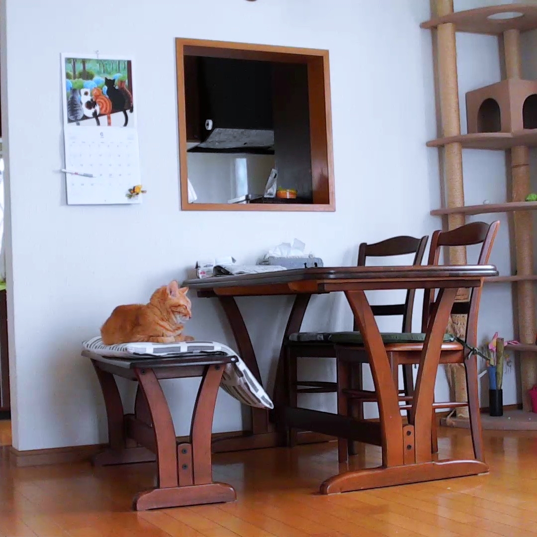ぐっすり眠れる幸せ。_d0355333_23414789.jpg