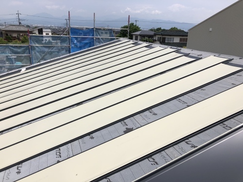 市川三郷町　ダークグレーの屋根　其の二_b0242734_20292397.jpeg