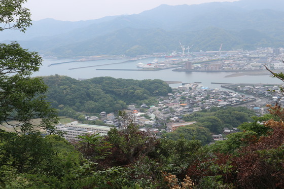 里山にカキランが咲き始めていた！_e0272335_1604876.jpg