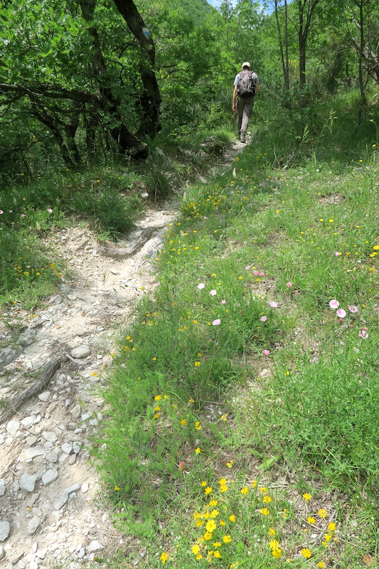 川沿いに花の道ゆけば山と修道院、クッコ山_f0234936_7595541.jpg