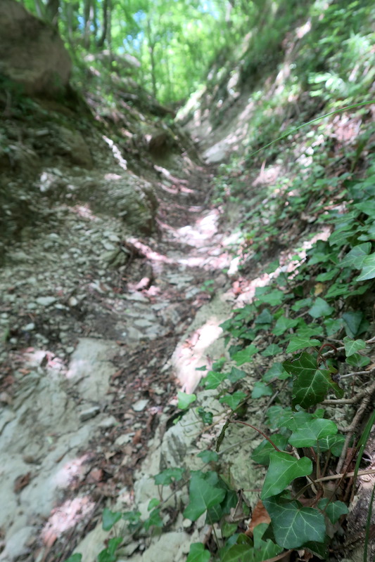 川沿いに花の道ゆけば山と修道院、クッコ山_f0234936_8112651.jpg