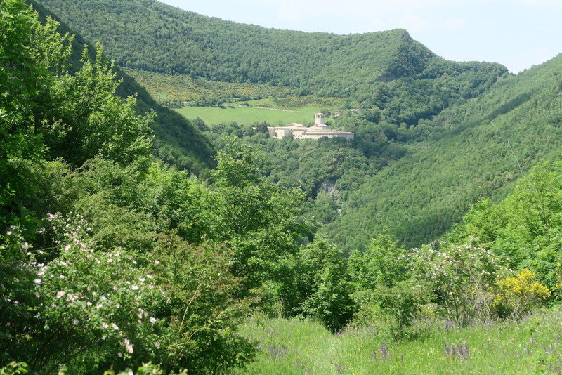 川沿いに花の道ゆけば山と修道院、クッコ山_f0234936_8204035.jpg