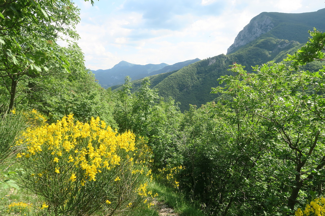 川沿いに花の道ゆけば山と修道院、クッコ山_f0234936_843191.jpg