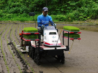 米作りの挑戦(2020) 田植え 今年は昨年よりもさらに10日早い田植えです!(前編)_a0254656_17435898.jpg