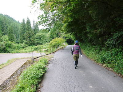 米作りの挑戦(2020) 田植え 今年は昨年よりもさらに10日早い田植えです!(前編)_a0254656_18480022.jpg