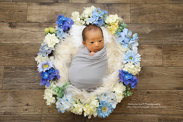 紫陽花の季節ですね☆ニューボーンフォト撮影 : マタニティ