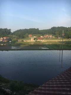 西陣暮らしから土のある暮らしを求めて…_f0363168_06235352.png