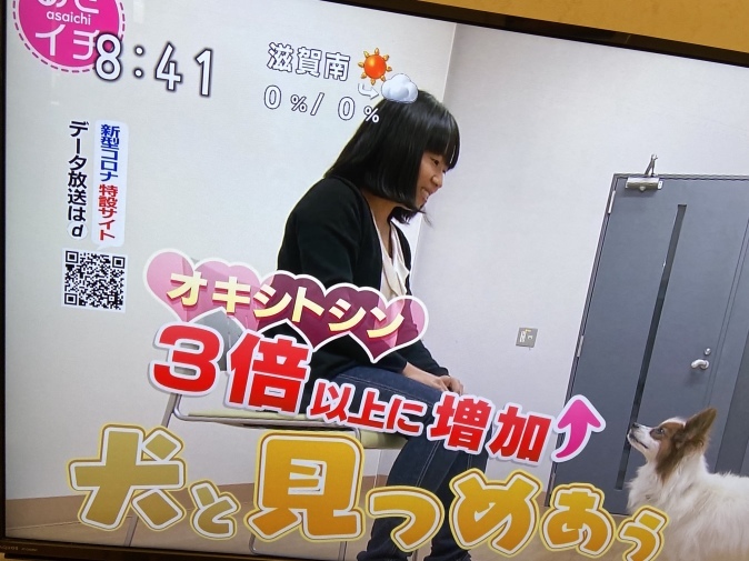 NHK『あさイチ』でオキシトシン特集。山口創先生がご登場!_b0228973_22162581.jpeg