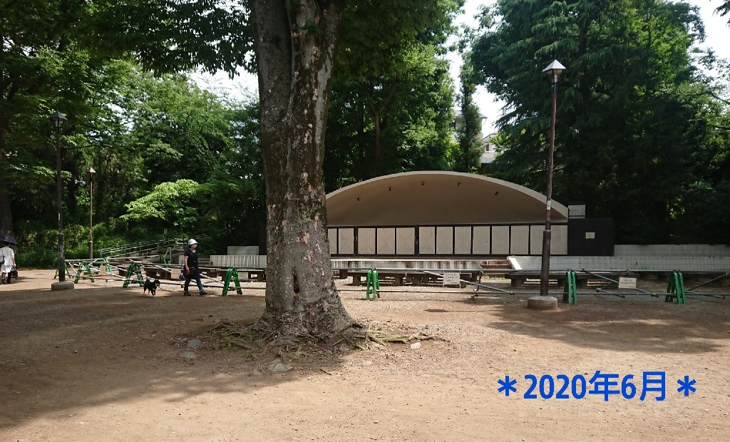 愛し て いる と 言っ て くれ ロケ 地