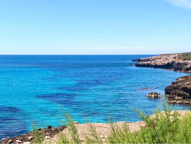 海も、山も、、、休みの日は大自然に癒される_e0335287_02194430.jpg