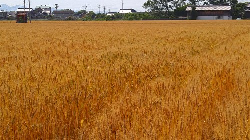 気持ち新たに_e0221697_20131932.jpg