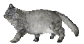 2週間が過ぎて_d0009101_10233422.gif