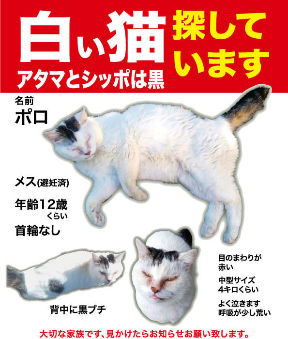 【拡散希望・迷子】2019年7月29日 市原市から行方不明_f0242002_22013609.jpg