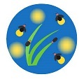 また間に合わず・・_f0242002_22171122.jpg