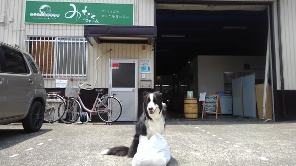 久しぶりのお出かけ_d0224111_16092126.jpg