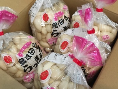 2020らっきょう(塩漬け)_f0369014_20310274.jpeg