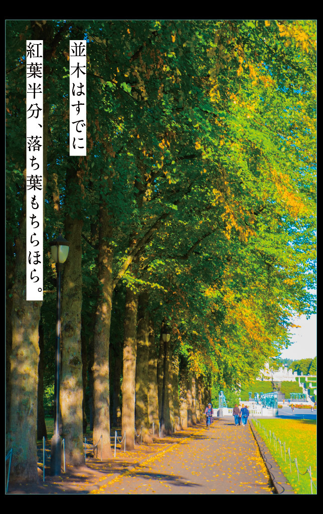 アート旅行に行こう!その73_a0358016_22093149.jpg