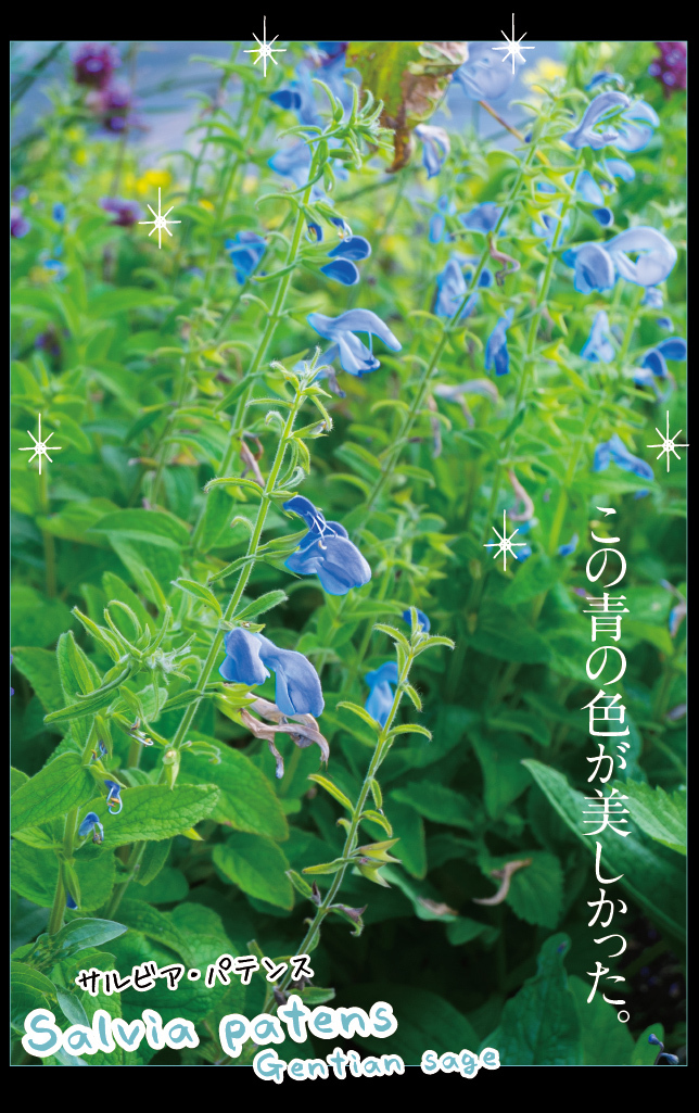 アート旅行に行こう!その73_a0358016_22101448.jpg