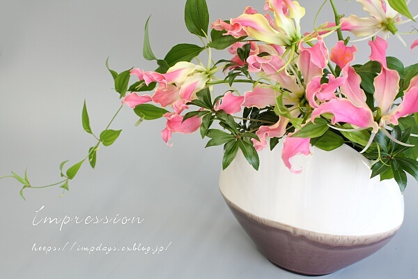 定期装花から　グロリオサ・ピンク_a0085317_18122691.jpg