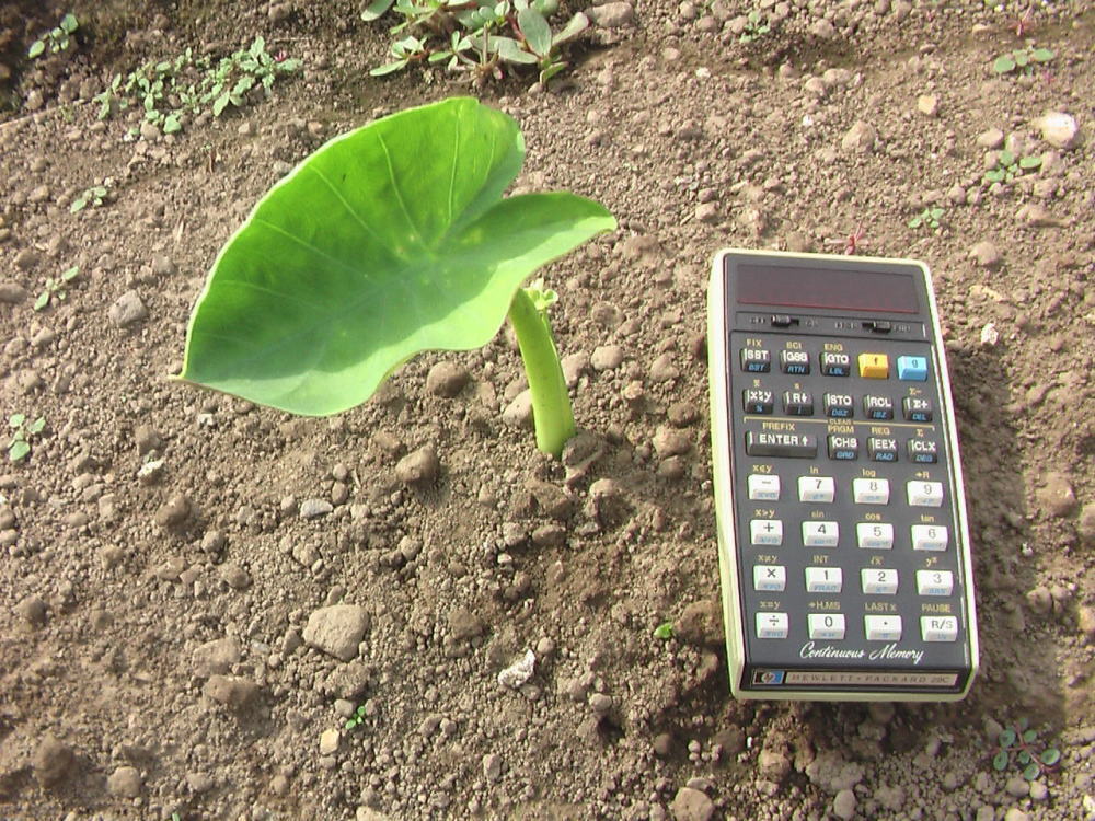 花と野菜 6月 2020-6-5_c0335218_20323237.jpg