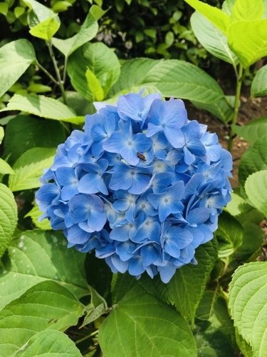 臨時休業日ブログ①_e0195325_19544329.jpeg