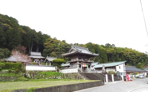 花遍路2019 22番平等寺~民泊パンダ屋_f0213825_12140111.jpg